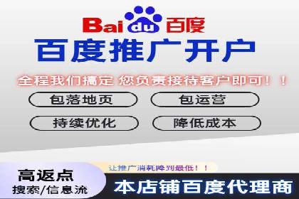 竞价SEM助力电商平台快速提升流量